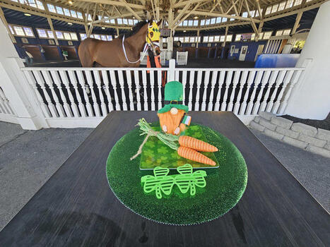 HISA to hold Q & A at Laurel Park * | Racing Regulatory Issues | Scoop.it