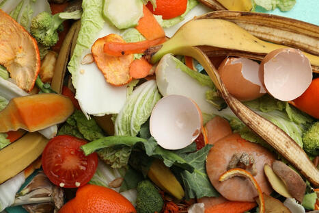 A national step-up for Australian food sustainability | Sustainable Procurement News | Scoop.it