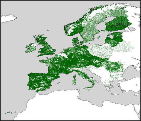 EU-Forest, a high-resolution tree occurrence dataset for Europe | Biodiversité | Scoop.it