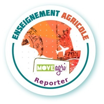 EXPERIMENTATION / Deux nouveaux Open badges pour valoriser les compétences développées en mobilité – | Innovation et transformation pédagogique | Scoop.it