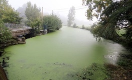 Ille-et-Vilaine: Lactalis bientôt jugé pour la pollution d'une rivière bretonne | Les Colocs du jardin | Scoop.it