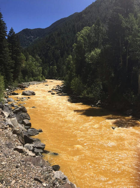 Restoration project proposals sought for rivers impacted by Gold King Mine spill / le 30.07.2021 | Pollution accidentelle des eaux par produits chimiques | Scoop.it