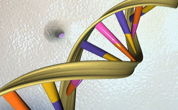 Can We Capture the World's Data in Our DNA? | SynBioFromLeukipposInstitute | Scoop.it
