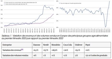 Inflation alimentaire : une crise causée par les multinationales | Lait de Normandie... et d'ailleurs | Scoop.it