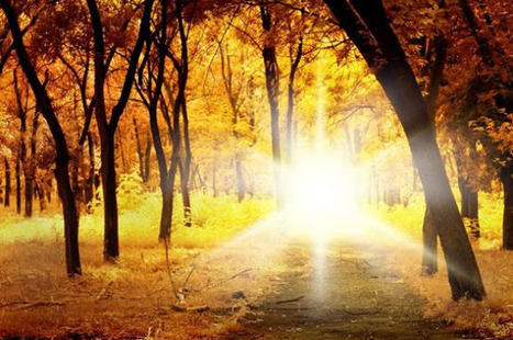 From Best Quotations | Vision Album | Scoop.it