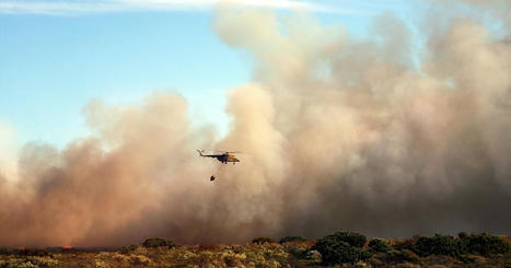 Immobilier : une nouvelle information &agrave; fournir &agrave; l'acqu&eacute;reur ou au locataire d'un bien dans les zones soumises &agrave; une obligation de d&eacute;broussaillement | L'Officiel des m&eacute;tiers | Scoop.it
