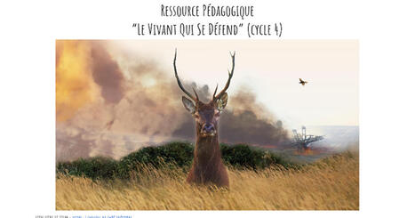 Ressource Péda LVQSD partagée - Google Docs | Insect Archive | Scoop.it