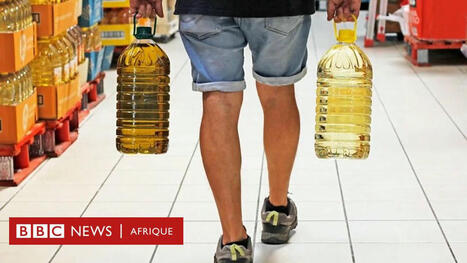 Nutrition : Les huiles de graines sont-elles vraiment mauvaises pour la santé ? | ITERG - Veille sectorielle | Scoop.it