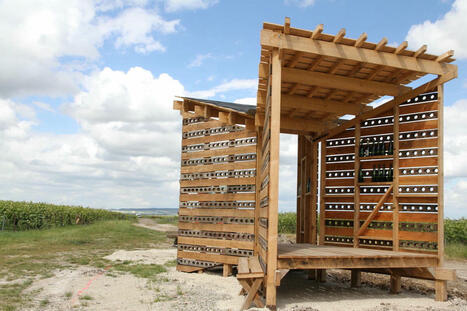 Marne - Animations - La F&ecirc;te de la science s'invite dans le vignoble marnais | Le fil d'actualit&eacute;s de l'URCA | Scoop.it