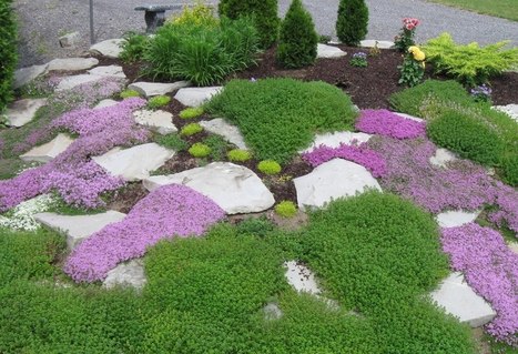 Rock Garden & Thyme | Gardening Life | Scoop.it