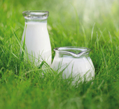 Changement climatique : Le litre de lait irlandais est le plus bas carbone d’Europe | Lait de Normandie... et d'ailleurs | Scoop.it