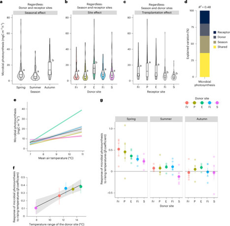 [INP-CRBE] Microbial photosynthesis mitigates carbon loss from northern peatlands under warming | Nature Climate Change | Publications scientifiques | Scoop.it