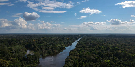 Amazonie : des chercheurs français en expédition dans un récif inexploré jusqu’ici - Europe1 | Biodiversité | Scoop.it