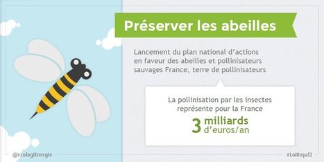 Tweet from @ecologiEnergie | Variétés entomologiques | Scoop.it