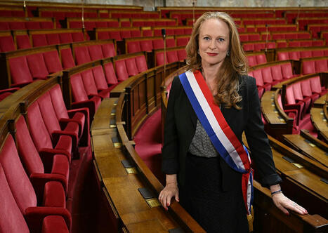 Statut de l'&eacute;lu local : une proposition de loi "transpartisane" d&eacute;pos&eacute;e &agrave; l'Assembl&eacute;e nationale | Veille juridique du CDG13 | Scoop.it