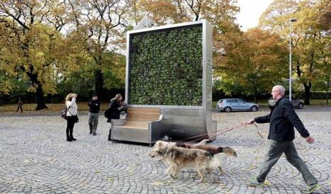 Innovation & Startup : Un mur vert intelligent qui nettoie l’air urbain | HelloBiz | START-UP MODE D'EMPLOI | Scoop.it