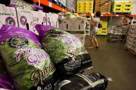 Study: Vegetarians Less Healthy, Lower Quality Of Life Than Meat-Eaters | ED 262 Above and Beyond the Call | Scoop.it