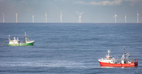 Taxe éolien en mer : l'association Bloom dénonce une mainmise de la pêche industrielle | HALIEUTIQUE MER ET LITTORAL | Scoop.it