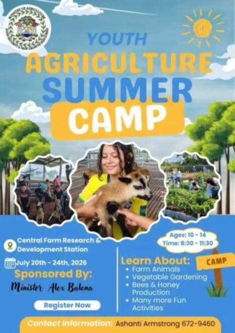 Youth Agriculture Summer Camp 2026 | Cayo Scoop!  The Ecology of Cayo Culture | Scoop.it