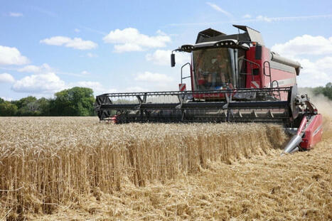 Loire-Atlantique : entre agriculteurs et voisins, « la cohabitation n’est pas toujours harmonieuse » - Actu.fr | Agriculture et communication positive | Scoop.it