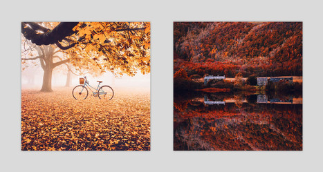 This Photographer Shoots Autumn Around The World And The Results Are Incredible | Inspired By Design | Scoop.it