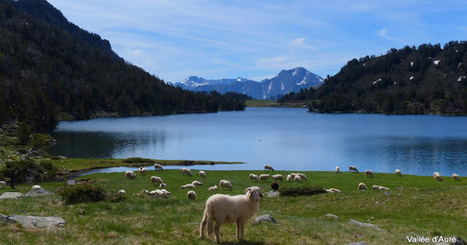 Farniente au lac d'Aumar | Vallées d'Aure & Louron - Pyrénées | Scoop.it