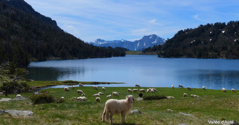 Néouvielle, la magie renouvelée | Vallées d'Aure & Louron - Pyrénées | Scoop.it