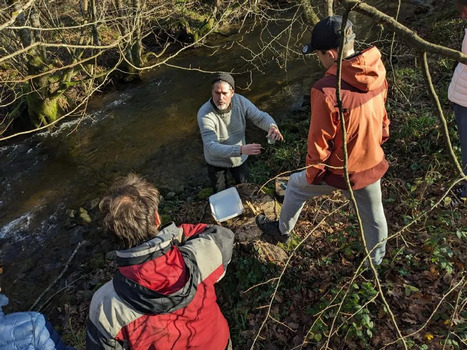 Dans le Puy-de-D&ocirc;me, cet insecte a fabriqu&eacute; un fuseau d'or et de diamants | Les Colocs du jardin | Scoop.it