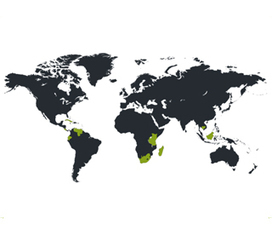 The Leap: More Than Just a Gap Year | The Student Voice | Scoop.it