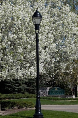 AMERLUX Launches SmartSite LED Street Lighting | LIGHTING-Innovation-Design | Scoop.it