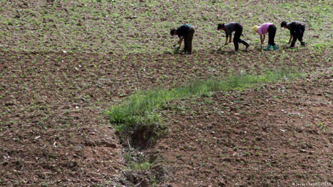 NORTH KOREA : food shortages as drought threatens crops | ASIES | Scoop.it