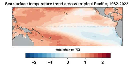 Le phénomène climatique El Niño ne se comporte pas comme prévu | EntomoNews | Scoop.it