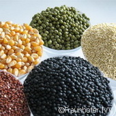 Améliorer le goût des aliments sans gluten | Innovation Agro-activités et Bio-industries | Scoop.it