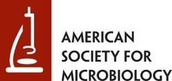 Introducing the Mangrove Microbiome Initiative: Identifying Microbial Research Priorities and Approaches To Better Understand, Protect, and Rehabilitate Mangrove Ecosystems | Biodiversité | Scoop.it