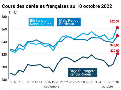 COTidienne | Prix des céréales - Flambée des cours des céréales à la suite du durcissement du conflit armé russo-ukrainien - Le Petit Meunier, La Dépêche | Agriculture et Alimentation Durable Méditerranéenne | Scoop.it