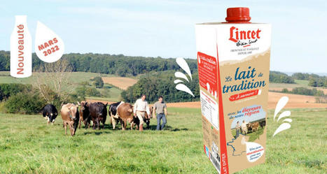 La Fromagerie Lincet lance un «lait de tradition» régional | Lait de Normandie... et d'ailleurs | Scoop.it