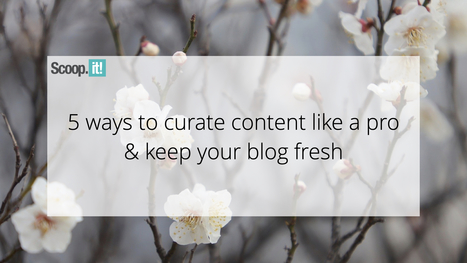 Eriksen M. 5 formas de seleccionar contenido como un profesional y mantener tu blog actualizado￼ | Educación hoy | Scoop.it