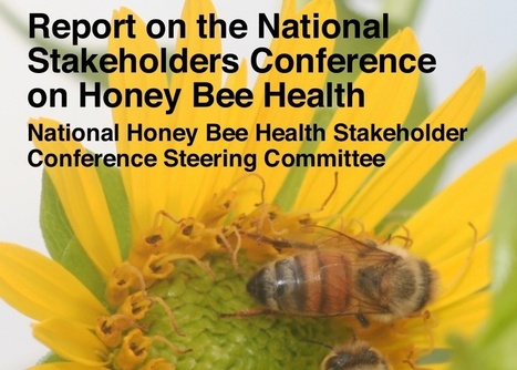 Adit Etats-Unis : "Sur le syndrome d'effondrement des colonies d'abeilles | Ce monde à inventer ! | Scoop.it