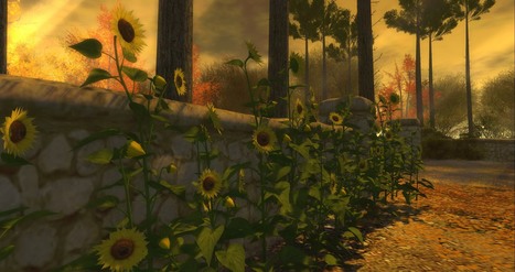 Jacob Autumn 2020 - Second Life | Second Life Destinations | Scoop.it