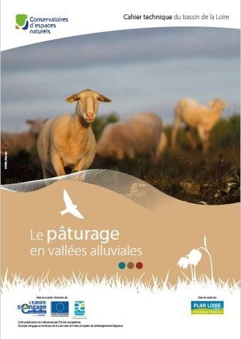 Le pâturage en vallées alluviales | Biodiversité | Scoop.it