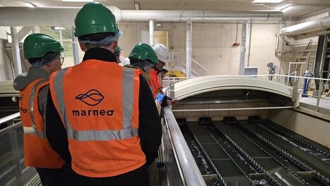 PFAS, microplastiques : pourquoi la facture de la d&eacute;pollution des eaux us&eacute;es va s'envoler | Revue de presse du Centre de doc | Scoop.it