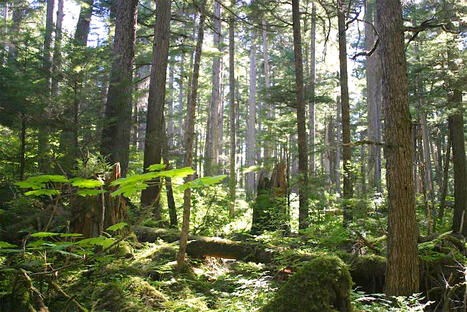 Hold-up programm&eacute; sur les parcs nationaux am&eacute;ricains | Essentiels et SuperFlus | Scoop.it