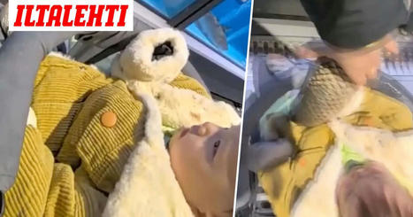 Taapero seurasi kaloja pahaa aavistamatta – Äiti videoi erikoisen tilanteen | 1Uutiset - Lukemisen tähden | Scoop.it
