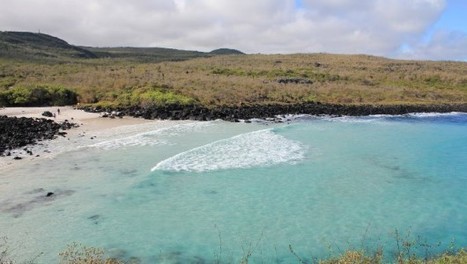 Beaches to explore while on San Cristobal, Galapagos. | Captain ... | Galapagos | Scoop.it