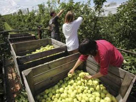 &laquo;&nbsp;Dans le trio de t&ecirc;te de nos priorit&eacute;s&nbsp;&raquo;&nbsp;: comment France Travail veut aider le secteur agricole &agrave; recruter | Employabilit&eacute; et emploi | Scoop.it