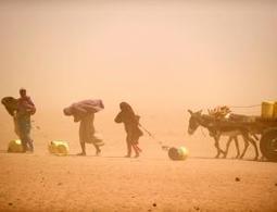 Humanitarian disaster blamed on climate change | Climate Change & DRR in East Africa | Scoop.it