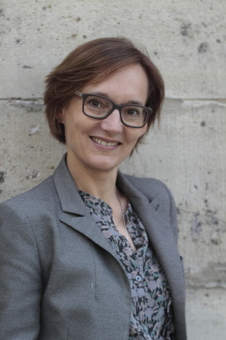 [ITW] Thérèse Lemarchand pour l'ARCES | Mécénat participatif, crowdfunding & intérêt général | Scoop.it