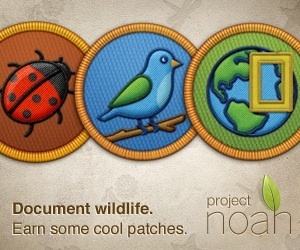 Global Warming Simulation, Global Warming Interactive, Climate Change Interactive - National Geographic | Digital Delights for Learners | Scoop.it