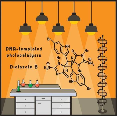 Catalyse supramoléculaire à base d’ADN et chimie des substances naturelles | Life Sciences Université Paris-Saclay | Scoop.it