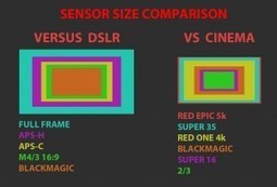 sensor size comparison | CINE DIGITAL  ...TIPS, TECNOLOGIA & EQUIPO, CINEMA, CAMERAS | Scoop.it
